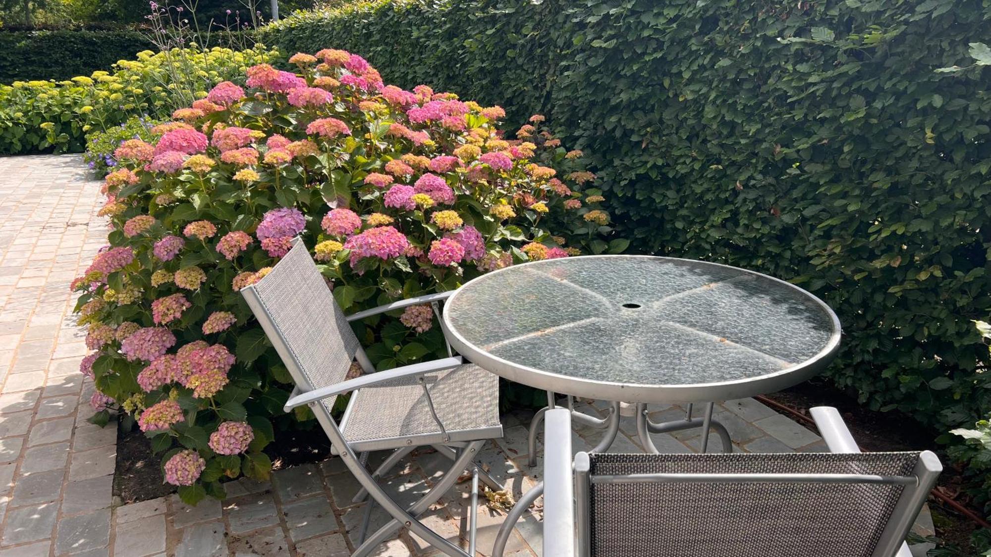 Ikigai B&B - Wellness Oud-Turnhout Exterior foto